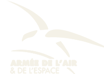 Armée de l'Air et de l'Espace